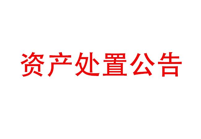 闲置设备资产处置公告(2023-23)